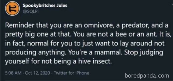 Stop Judging Yourself For Not Being A Hive Insect