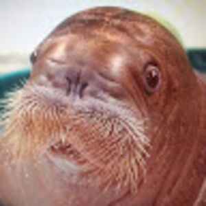 kimberlygratz avatar