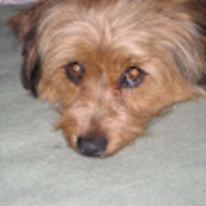 thelmaalvarado avatar