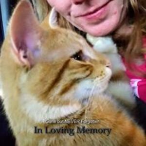 fukshitspecialist avatar