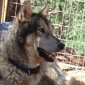 brandeewine4343 avatar