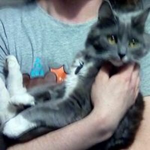 christianne0507 avatar