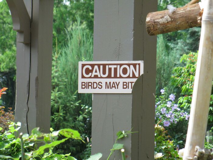 Birds May Bite