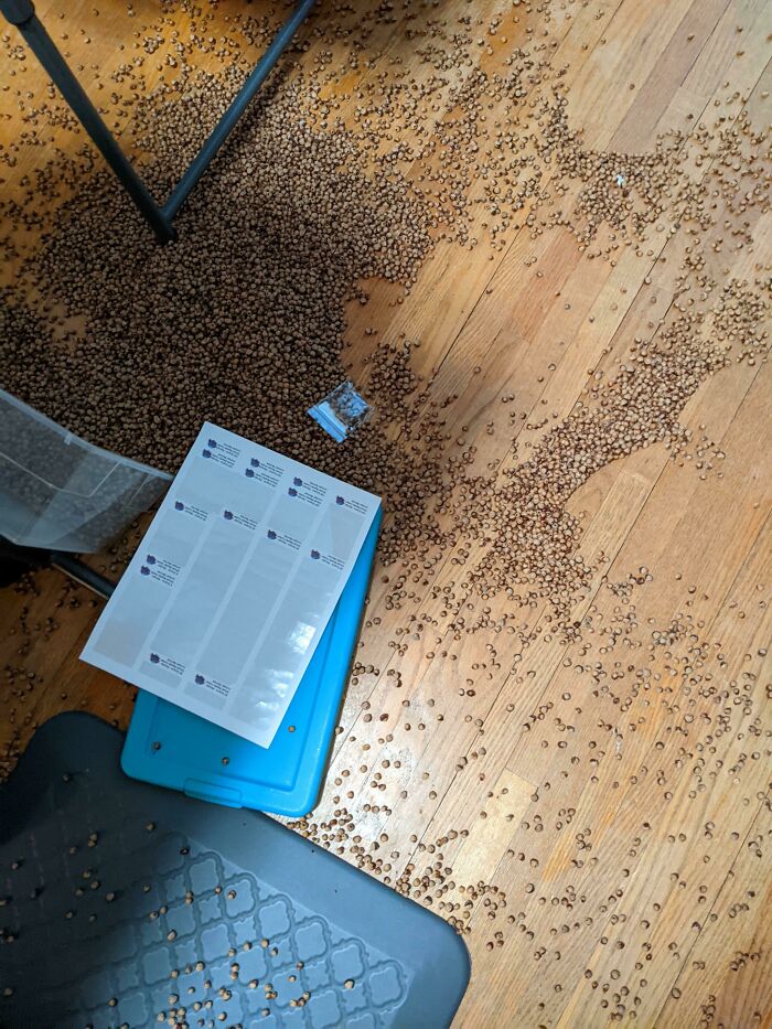 Dropped 10 Pounds Of Beads On The Floor Today At Work. Boss Was Not Happy
