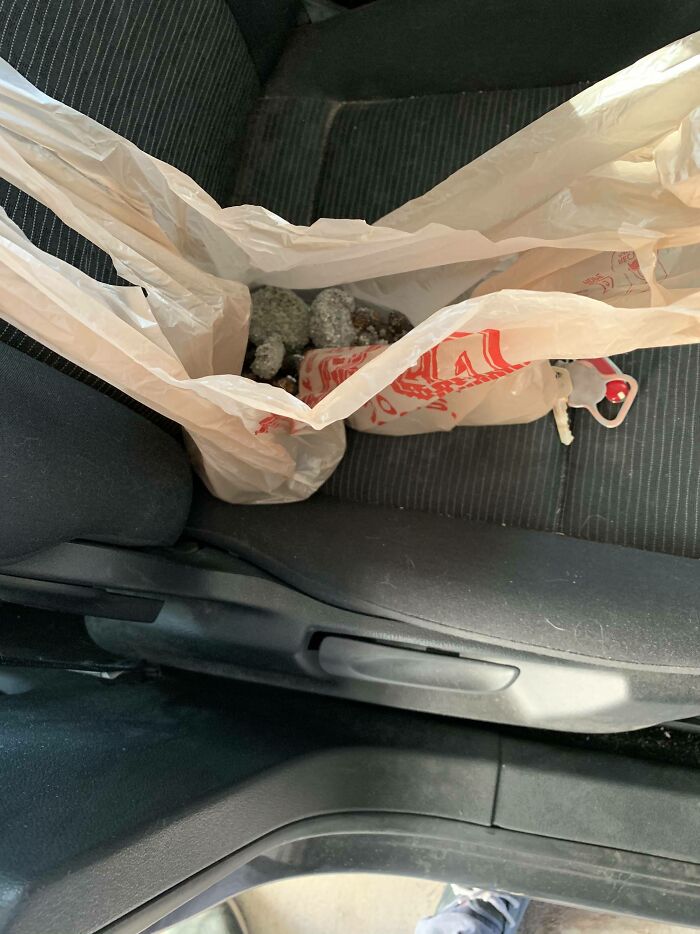 I Cleaned The Cat’s Litter Box And Brought The Bag With Me To Throw Away In My Outdoor Trash Can On The Way To Work. I Also Brought My Lunch