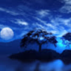 leeannfleetwood avatar