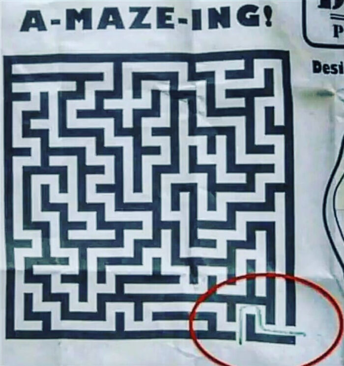 Never Knew A Maze Would Be This Easy!