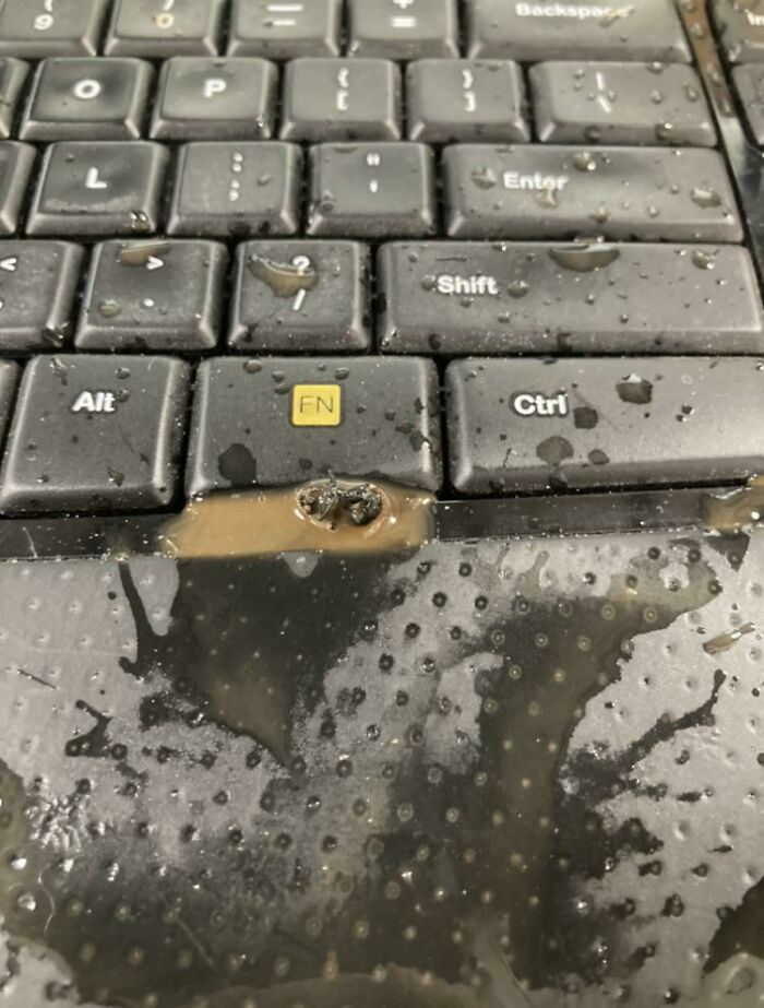 Una mosca se coló en mi café en el trabajo. Afortunadamente, la escupí sobre todo el teclado