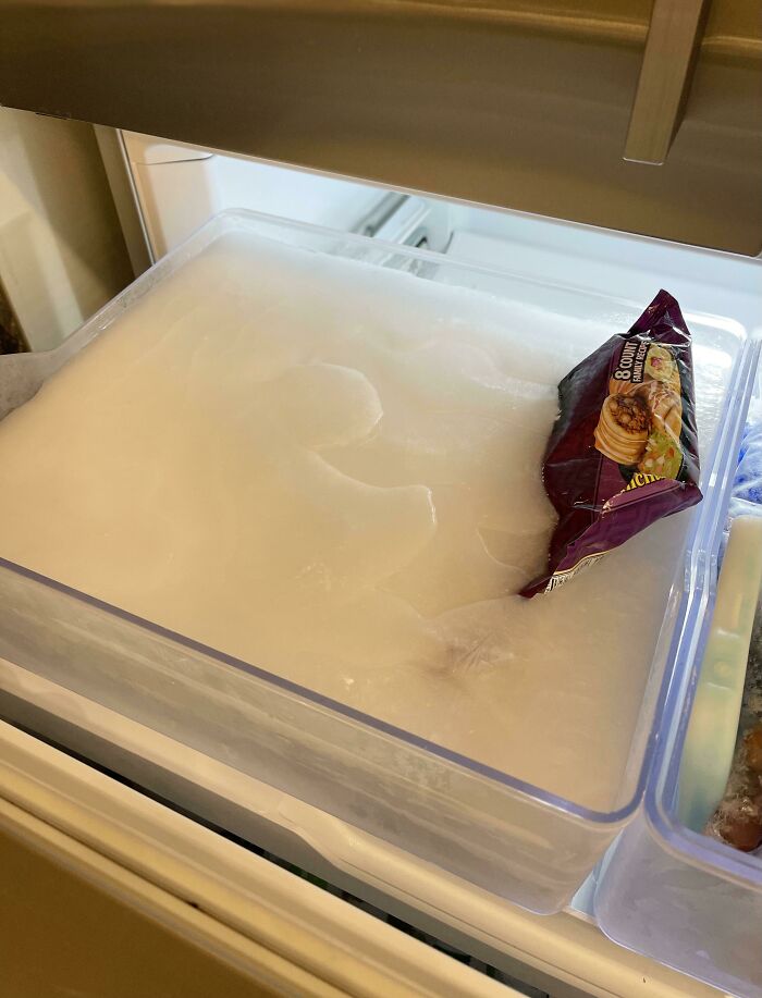 Water Leaked Into The Work Freezer Overnight And Encased My Chimichangas