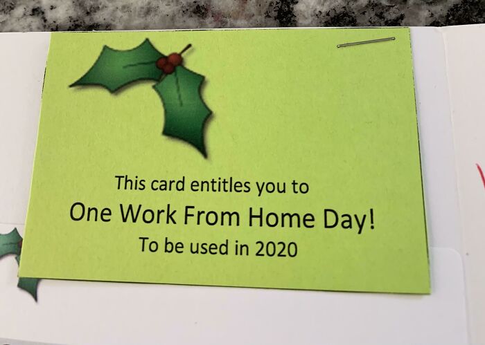 For Christmas 2019, My Boss Gifted Us With 1 Work From Home Day In 2020