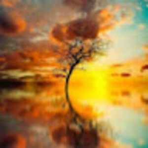 claramcauley_1 avatar