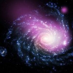 zico_hollander avatar