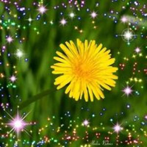 barbaracervelli avatar