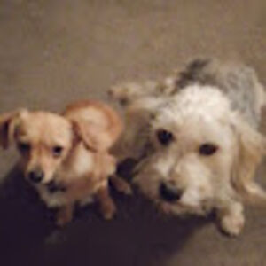 chrystalcalaby avatar