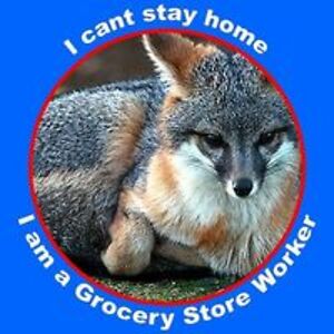 damionknight1313 avatar