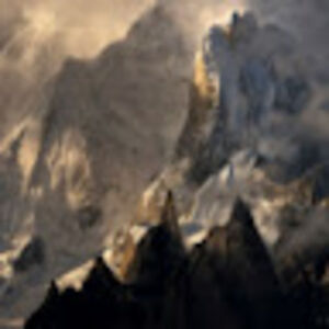 patriciaokeefe avatar