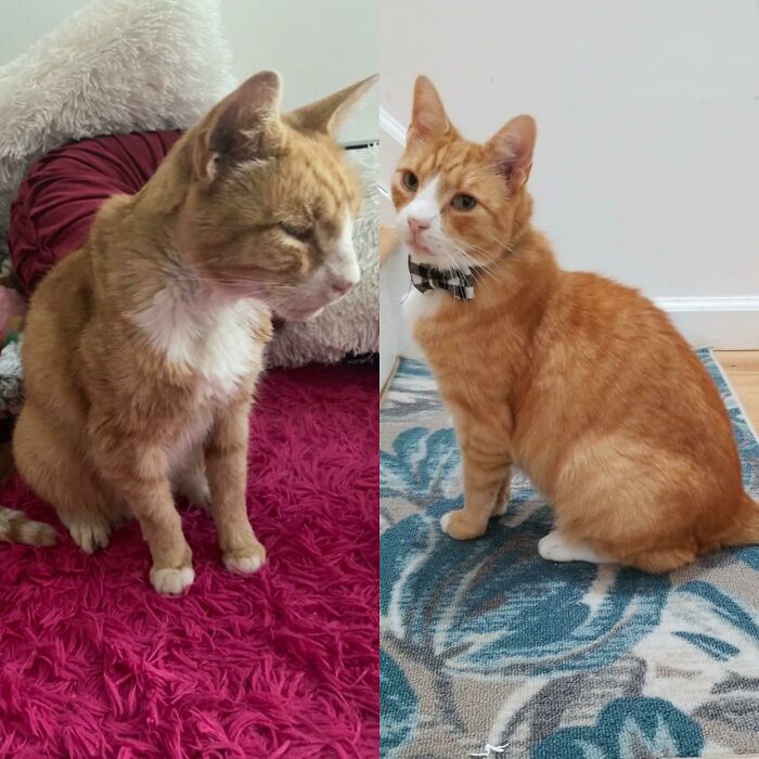 When I Rescued Him vs. Now