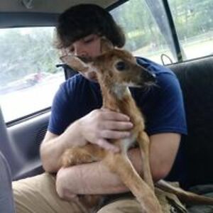 lathropjustin11 avatar