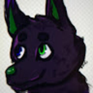 atticusadamos avatar