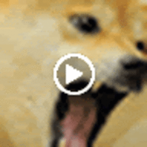 thomastrevillian avatar