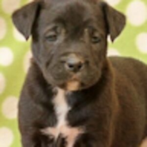 nathanielbeckstead avatar