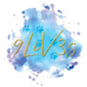 yoshikitsubasa avatar