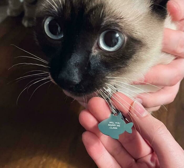 My Boyfriend Proposed To Me In The Cutest Way Ever