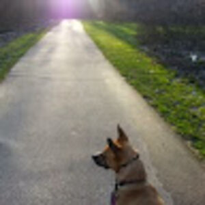 lauraschumacher avatar