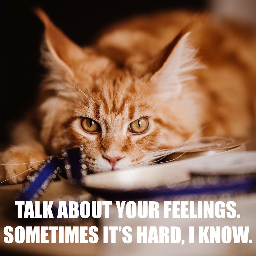 7 Tips From My Cat Thor To Feel Better On Monday