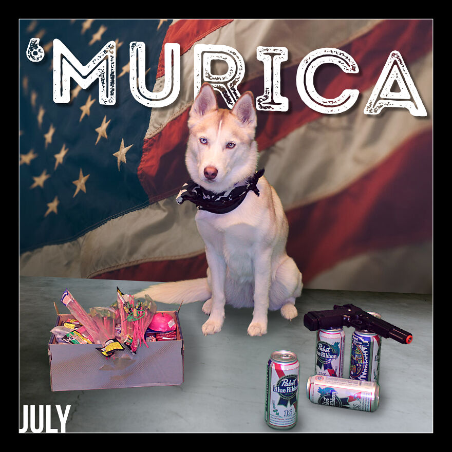 I Photoshop My Dog Into Goofy Scenes For My 2022 Calendar