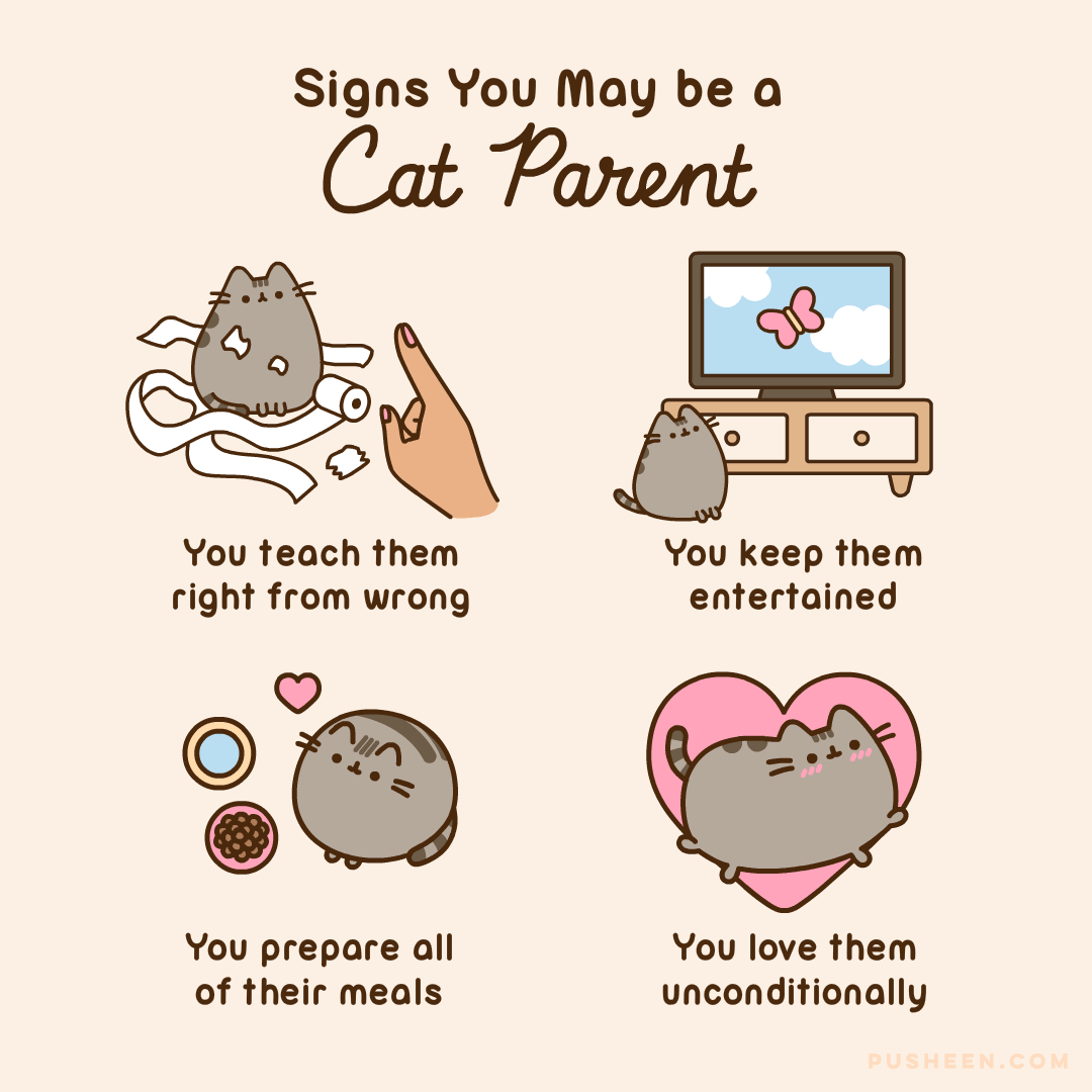 40 Adorable Pusheen Comics