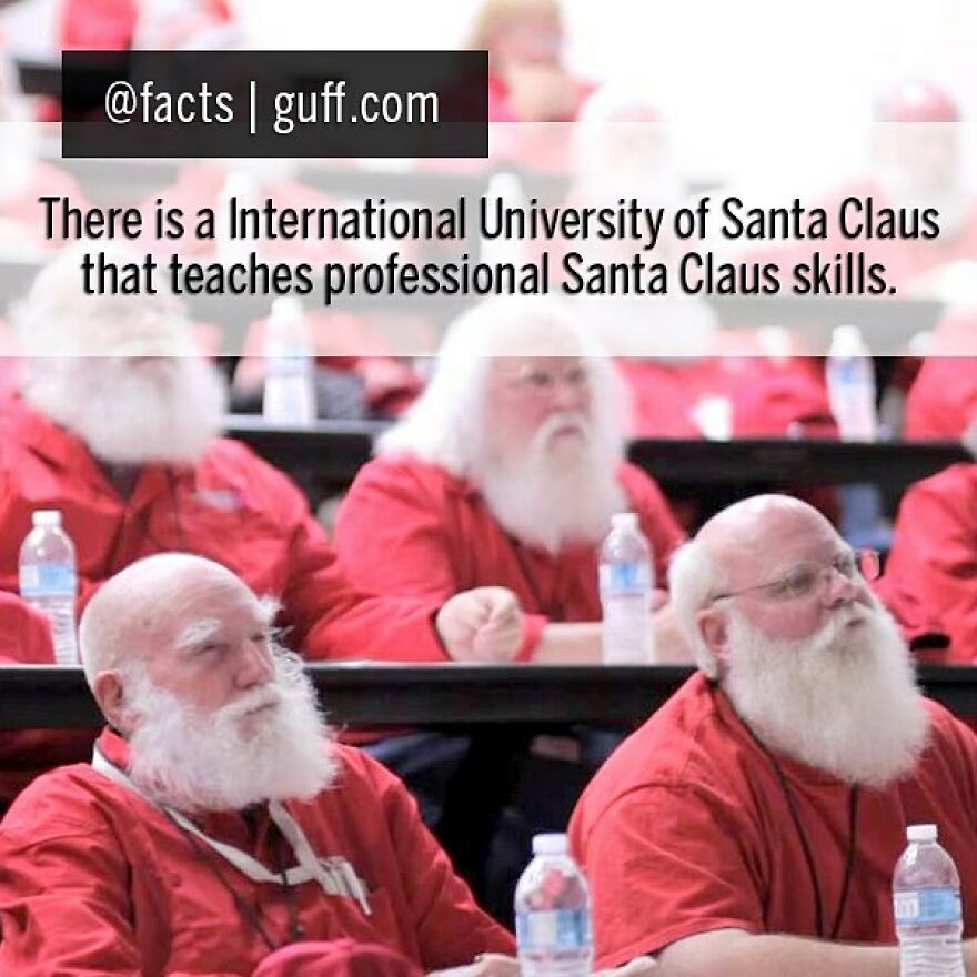 There Are Lessons On The History Of Santa Claus, How To Pose For Pictures, How Answer Kids' Difficult Questions, And Even The Correct Way To Say "Ho, Ho, Ho!" #facts #santa #santaclaus #school #christmas #holidays
