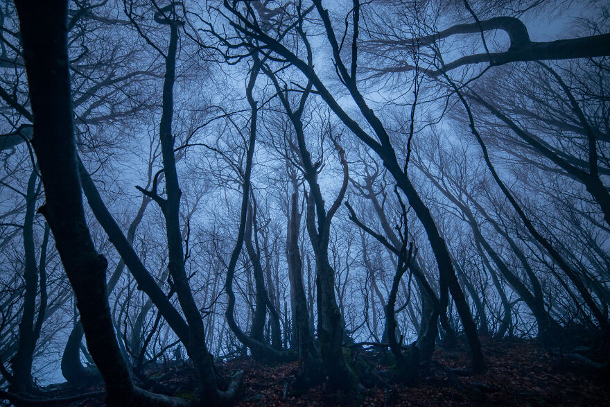 I Felt The Erebus On The Centaur΄s Mountain Pelion (10 Pics)