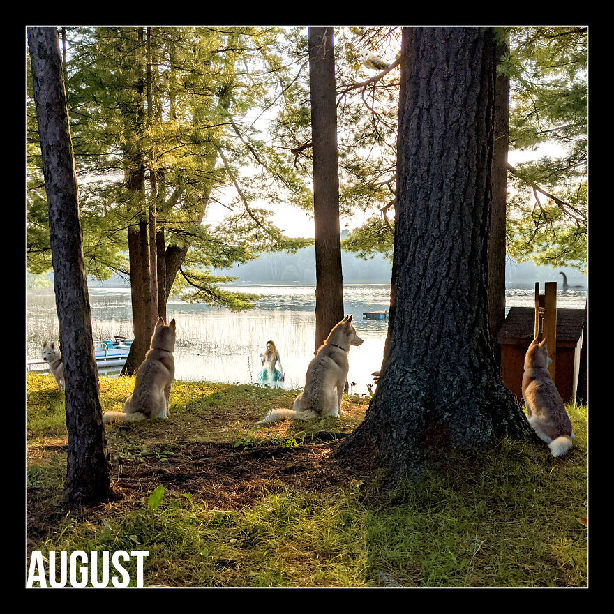 I Photoshop My Dog Into Goofy Scenes For My 2022 Calendar