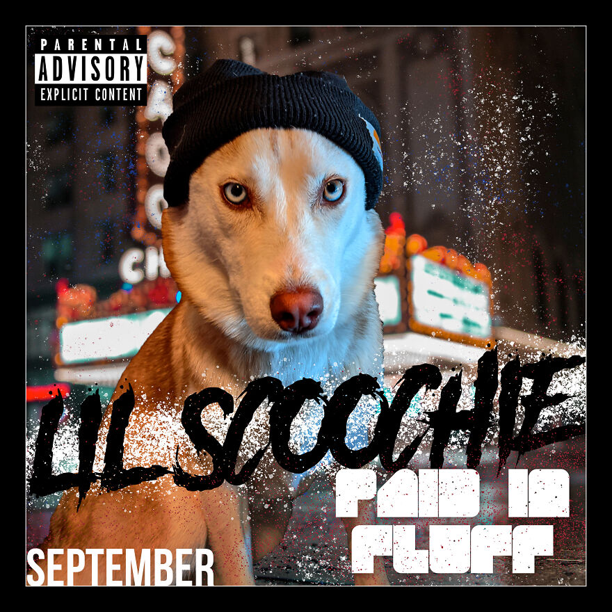 I Photoshop My Dog Into Goofy Scenes For My 2022 Calendar