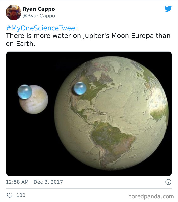 Interesting-Facts-My-One-Science-Tweet