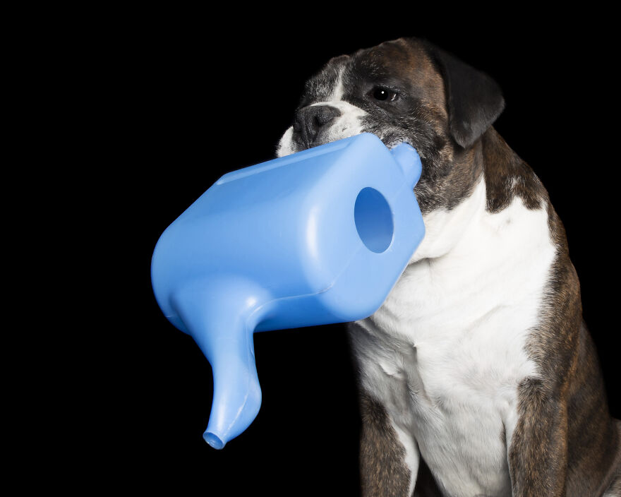 Dozer And The Watering Can