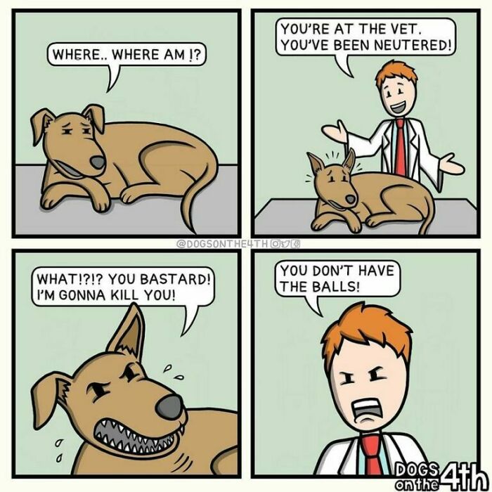 Hilarious Twisted Comics By Dogs On The 4th!