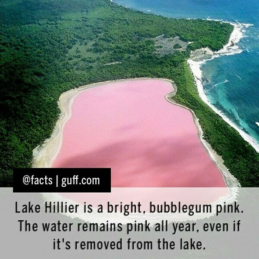 The Lake Is Located On Middle Island (Off The Coast Of Australia), And It Remains Bright Pink Year Round. It Is Thought That The Color Is Caused By Algae That Lives In The Lake. #facts #lakehillier #pink #water #travel #australia