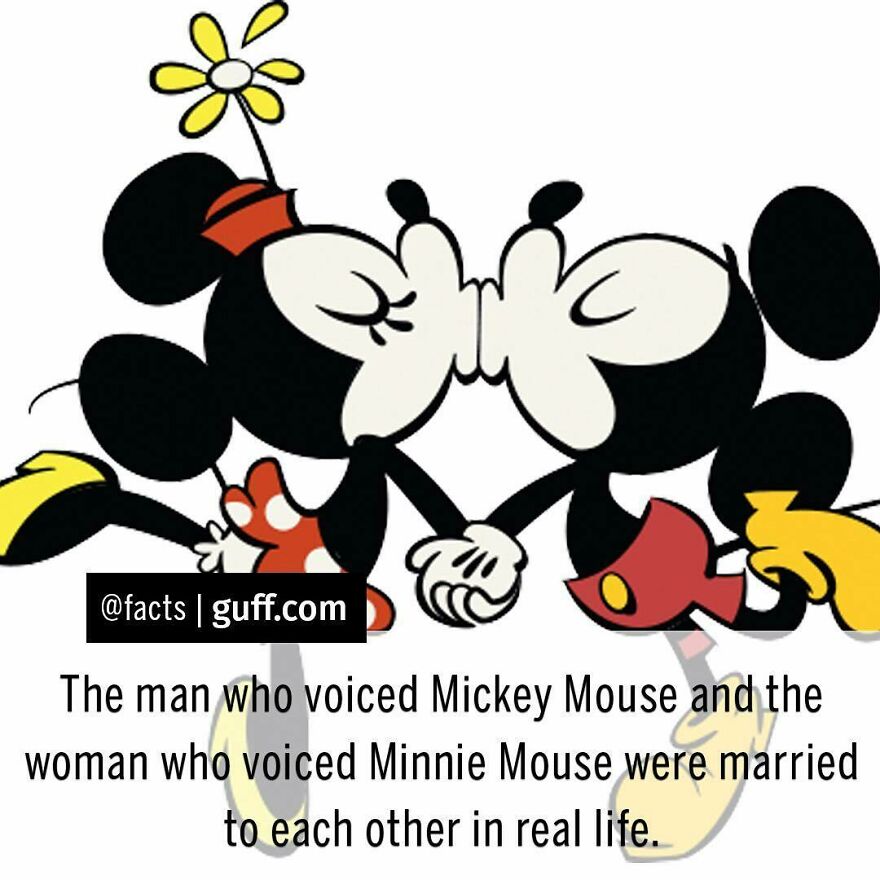 #facts #mickey #minnie #mickeymouse #disney #happy #aww