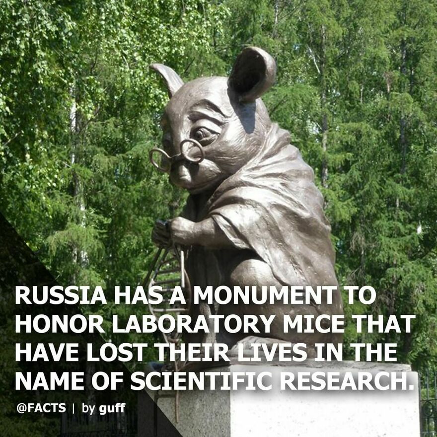 Adorbs! 🐭
#facts #russia #science