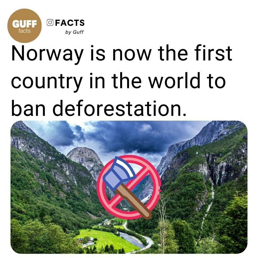 🌳 Norway Is The First Country In The World To Commit To No Longer Using Any Products That Contribute To Deforestation.⁠
that’s Pretty Remarkable, Because While During The Last Few Years A Number Of Companies Have Stopped Working With Goods That Can Be Linked To The Destruction Of Rain Forests, Such An Action Has Not Been Matched By Governments.⁠
a Little More Than Five Years Ago, At The United Nations Climate Summit 2014 Held In New York, The Norwegian Government Made A Pledge With Germany And The United Kingdom That It Would “Promote National Commitments That Encourage Deforestation-Free Supply Chains, Including Through Public Procurement Policies To Sustainably Source Commodities Such As Palm Oil, Soy, Beef And Timber.” ⁠
⁠
_____⁠
⁠
🇳🇴 In 2016, The Norwegian Government Made Good On That Promise By Officially Declaring That The Government’s Public Procurement Policy Will Become Deforestation-Free. In Other Words, The Norwegians Will Not Award Any Of Its Government Contracts To Companies That Take Part In Clear-Cutting.⁠
this Isn’t The First Time That Norway Has Put Into Practice “Speaking For The Trees.” The Act Of Banning Deforestation From The Supply Chain Only Continues The Country’s Long-Standing History Of Protecting The World’s Vital Forests.⁠
⁠
_____⁠
⁠
source: Link In Our Bio. 🔗