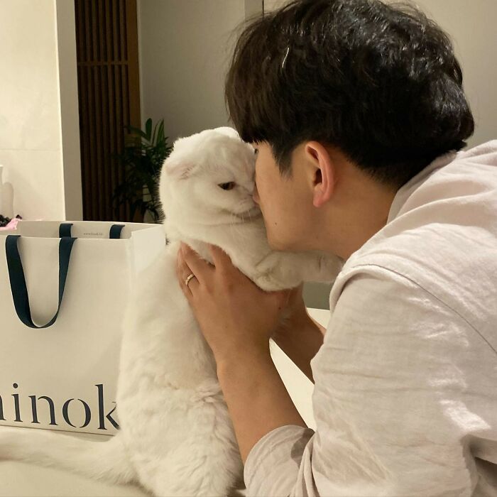 Cat Refuses Owner’s Attempts At Cuddling, And It Has Gone Viral On The Internet Cat Refuses Owner’s Attempts At Cuddling, And It Has Gone Viral On The Internet