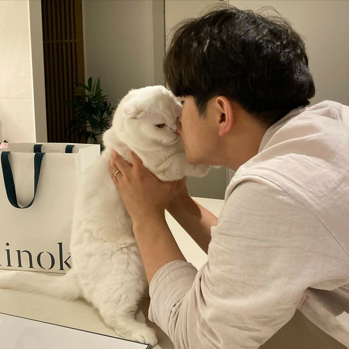 Cat Refuses Owner’s Attempts At Cuddling, And It Has Gone Viral On The Internet Cat Refuses Owner’s Attempts At Cuddling, And It Has Gone Viral On The Internet