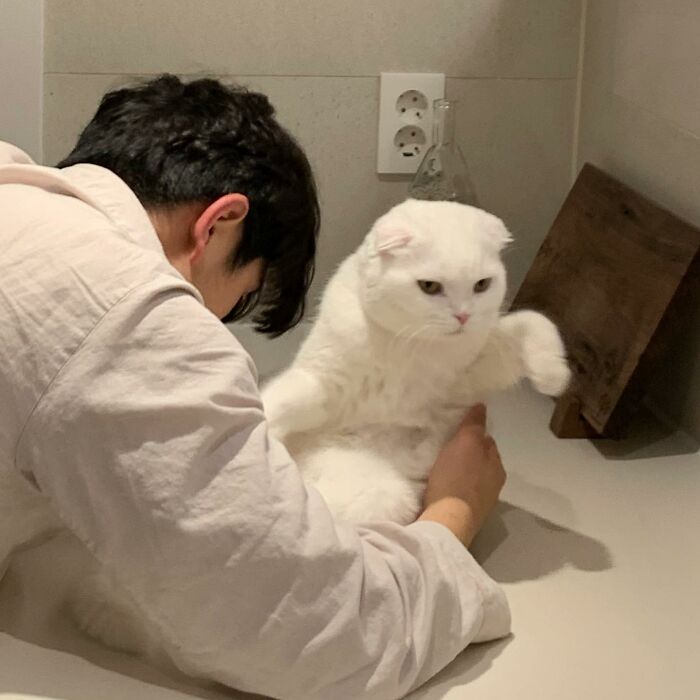 Cat Refuses Owner’s Attempts At Cuddling, And It Has Gone Viral On The Internet Cat Refuses Owner’s Attempts At Cuddling, And It Has Gone Viral On The Internet