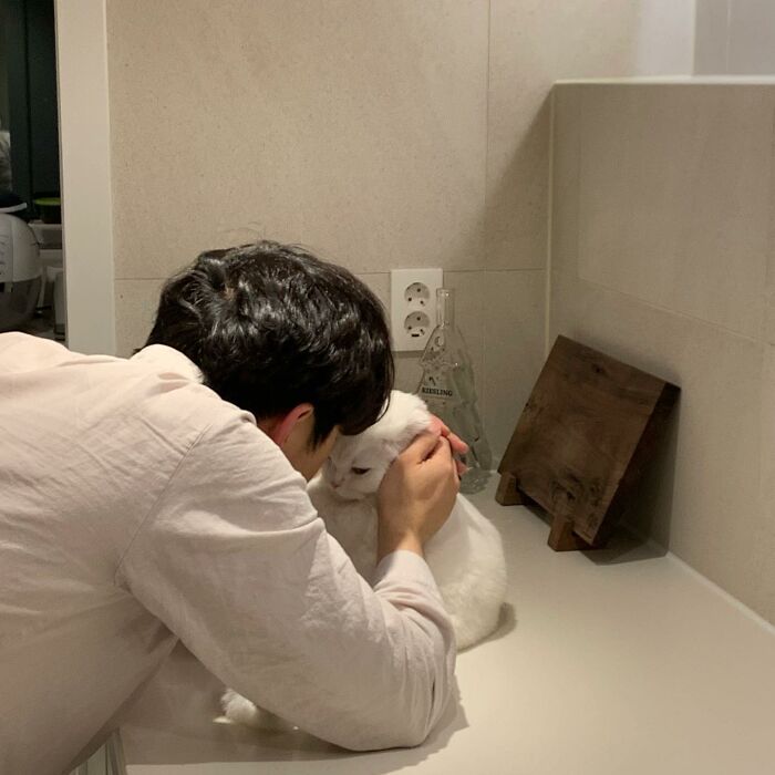 Cat Refuses Owner’s Attempts At Cuddling, And It Has Gone Viral On The Internet Cat Refuses Owner’s Attempts At Cuddling, And It Has Gone Viral On The Internet