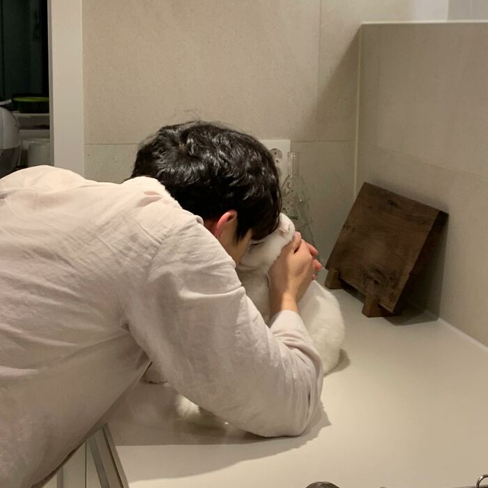 Cat Refuses Owner’s Attempts At Cuddling, And It Has Gone Viral On The Internet Cat Refuses Owner’s Attempts At Cuddling, And It Has Gone Viral On The Internet