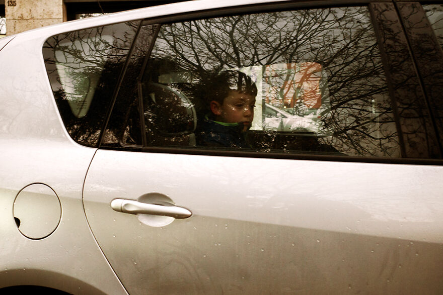 Day 39: Sometimes Our Thoughts Branch Out Into Our Winter Melancholy