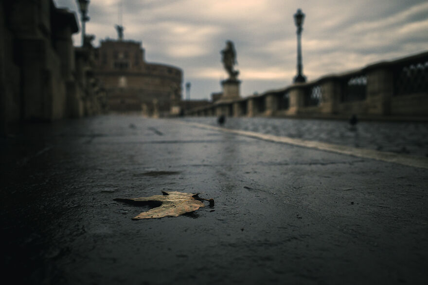 Day 296: Mood Of The Day