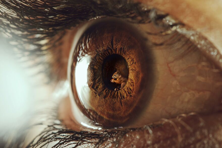 I Created 10 Fantasy Eye Art With Photoshop